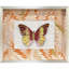 Flight Patterns II Framed Art 