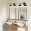 Balfor 2-Light Dimmable Matte Black Vanity Light