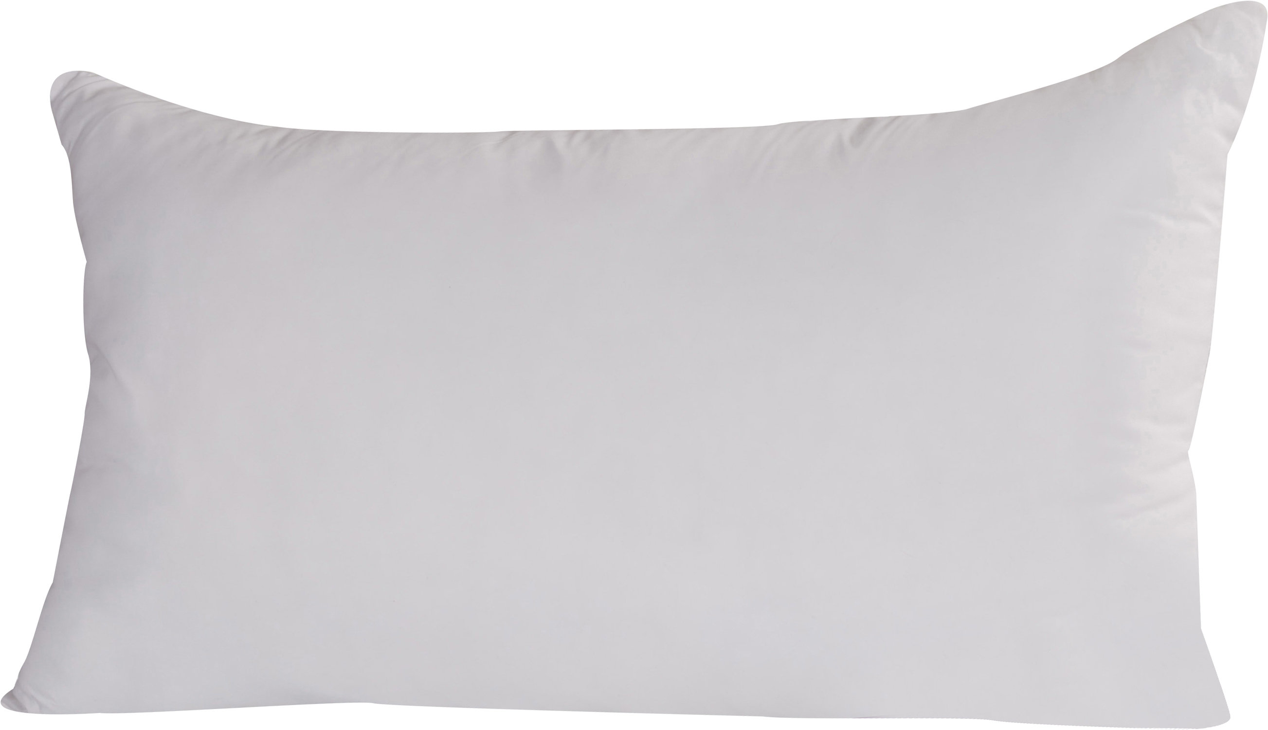 Brousseau Firm Pillow (Set of 2)
