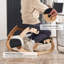 Fauteuil ergonomique à hauteur réglable Loal-33664038