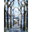Feel The Sky Print by Leslie Kell-71201731-71201732