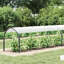 Plant Cover With Eyelets Polyethylene-543223578