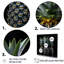 «Spiky Pinapple Shadows» sur toile-3102837-3102836