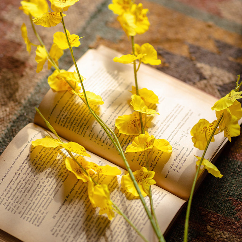 Tiges d'orchidées dansantes