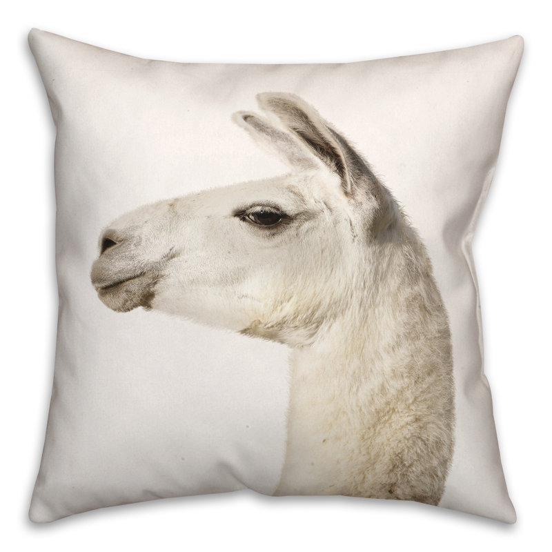 Housse de coussin Fluffy
