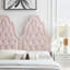Augustine Tufted Performance Velvet Headboard-906766103-906765548