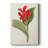 FloraOfTheTropicsIV -Custom Wrapped Gallery Cavas-1253710699