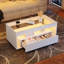 Solid Coffee Table with Storage