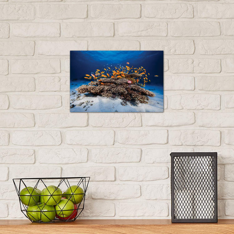 " Marine Life " by Barathieu Gabriel, No Mat, Plastic/Acrylic, 16" H x 24" W x 0.25" D