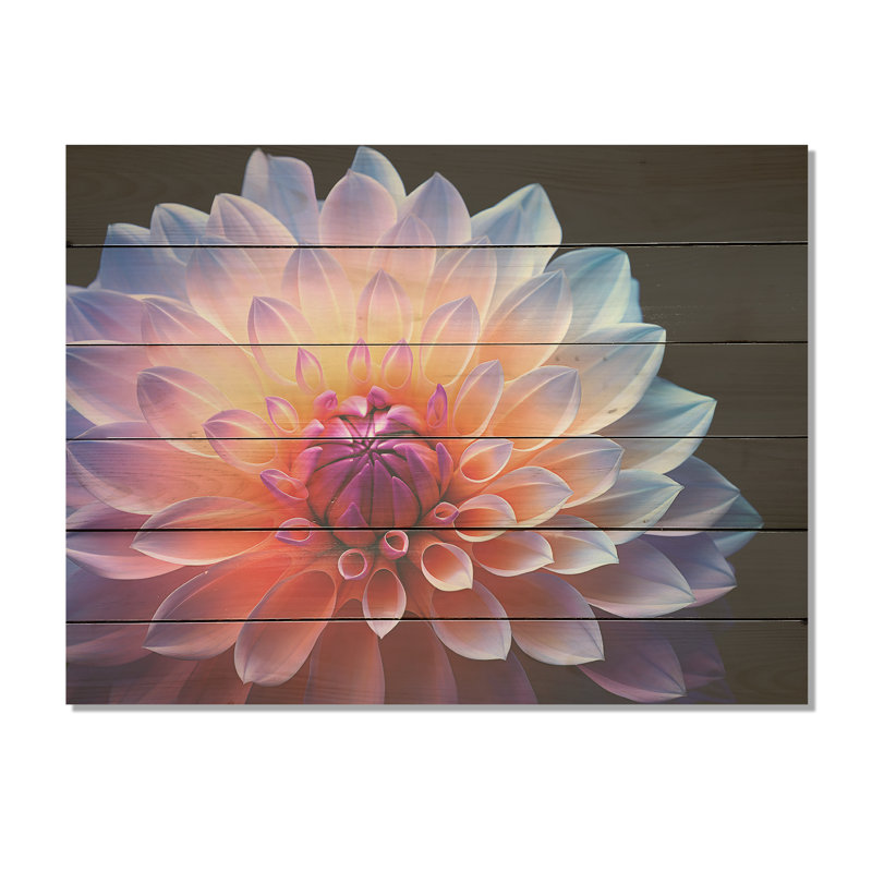 Dahlia rose étreinte efflorescente - art mural en bois de dahlia sur bois de pin naturel, H 30 po x l 40 po