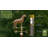 37'' H Metal Animals Weathervane-3133712-12272462