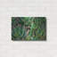«Succulents II» par Dennis Frates-2053283784