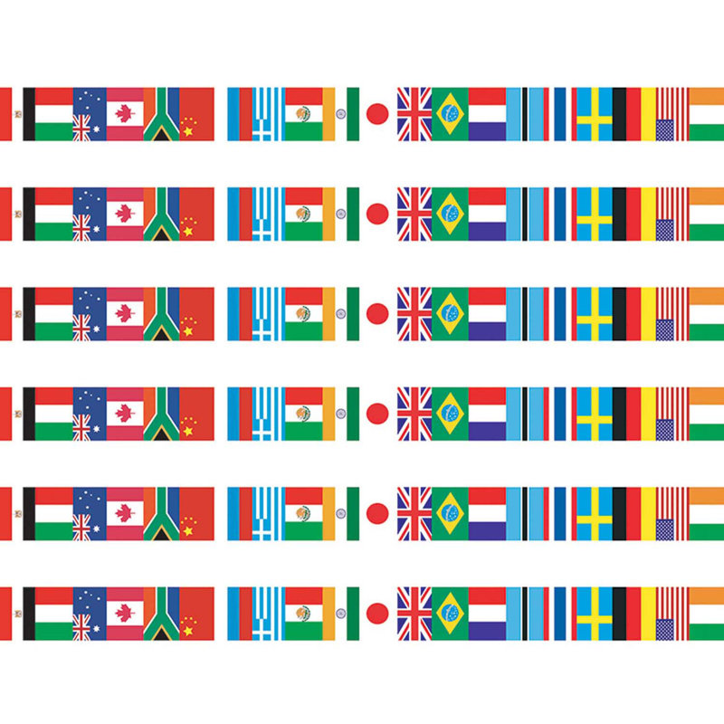 Edupress International Flags Spotlight Border, 36 Per Pack, 6 Packs