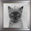 Single Picture Frame Print-33580305