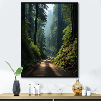 «Redwood National and State Park USA USA», reproduction sur toile