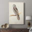 Chouette du Canada - galerie Cavas sur mesure-1184766357