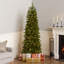 Sapin de Douglas filiforme avec lumières DEL bicolores Downswept Douglas Fir-2058719938