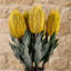 Artificial Arrangement-106401557