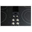 Downdraft Electric Cooktop-486530350-486530349
