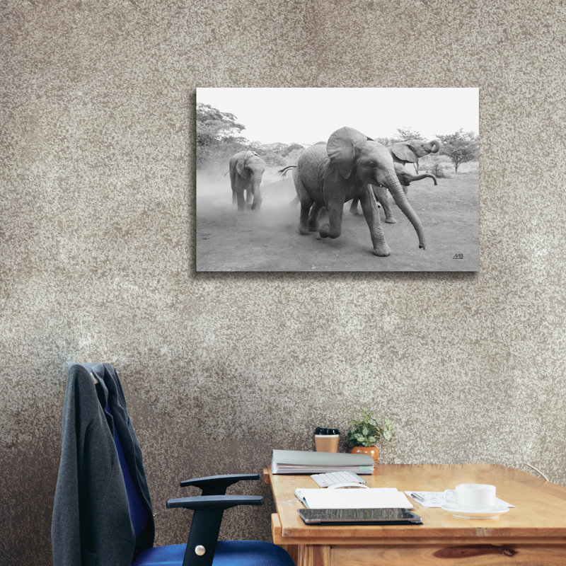 Art mural sur toile Epic Graffiti «Elephant Race Bw» par Max Blakesberg Studios, 40 po x 26 po, H 26 po x l 40 po
