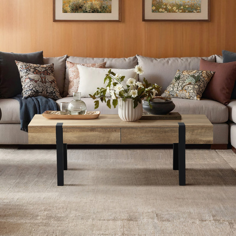Regalado 2-Drawer Coffee Table