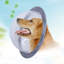 Housse transparente pour animal de compagnie