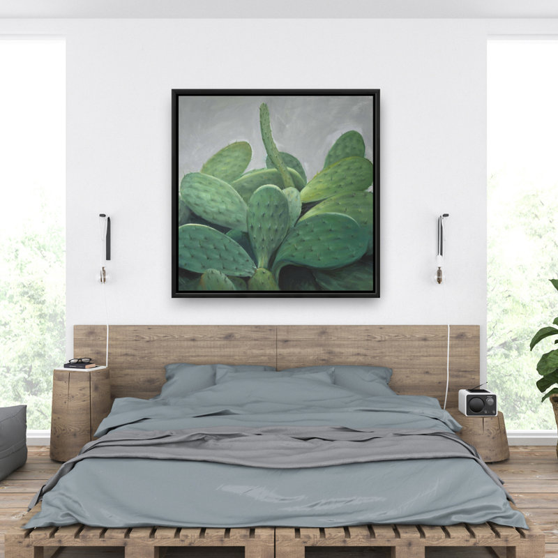 «Cactus Bundle» sur