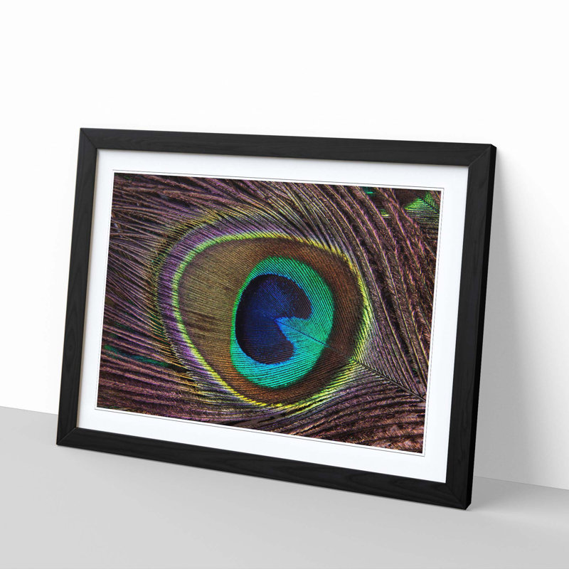 Peacock Feather Framed Photographic - Framed Print, Black