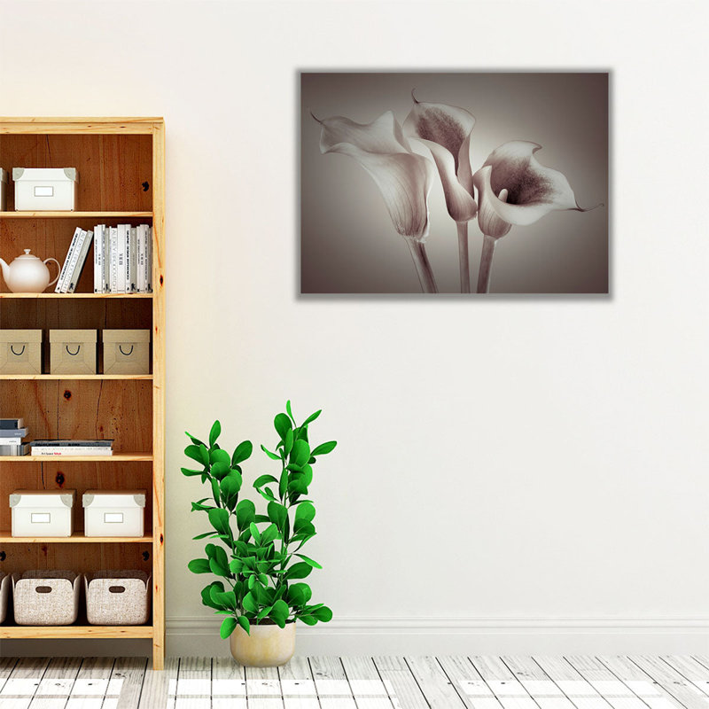Gros plan sur trois lys Calla blancs neutres - reproduction d'art sur toile, H 45 po x l 60 po