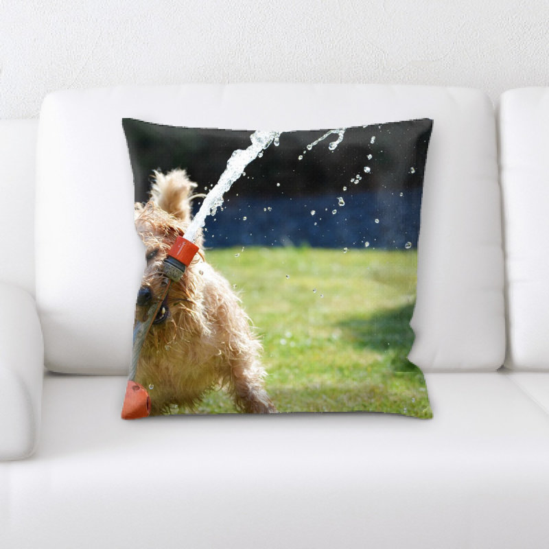 Coussin pour chien