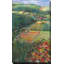 Country Fields par Carol Rowan - Peinture-65864126-65864130