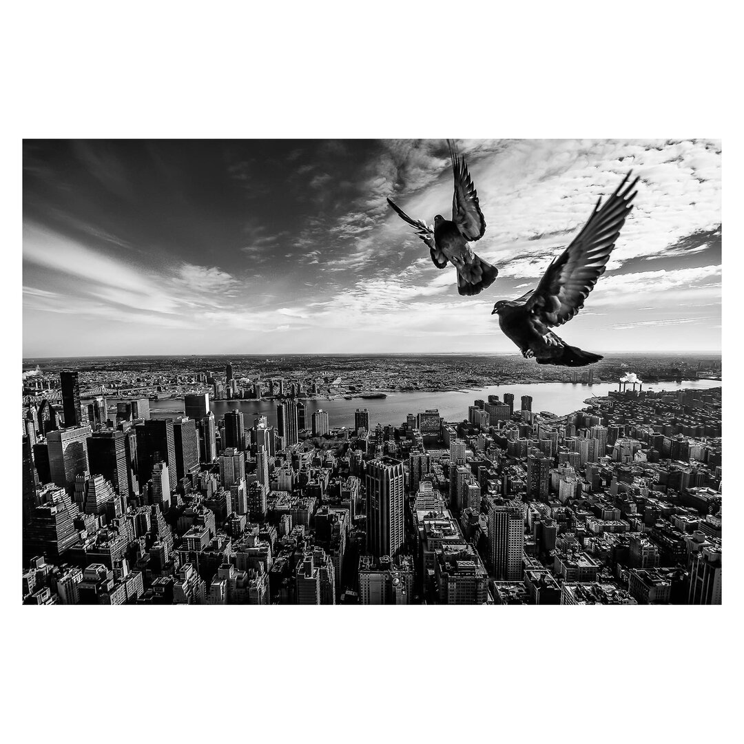 Matt Fototapete Tauben auf dem Empire State Building 3,2 m x 480 cm