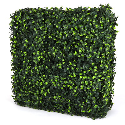 Gardenia Hedge Wall 