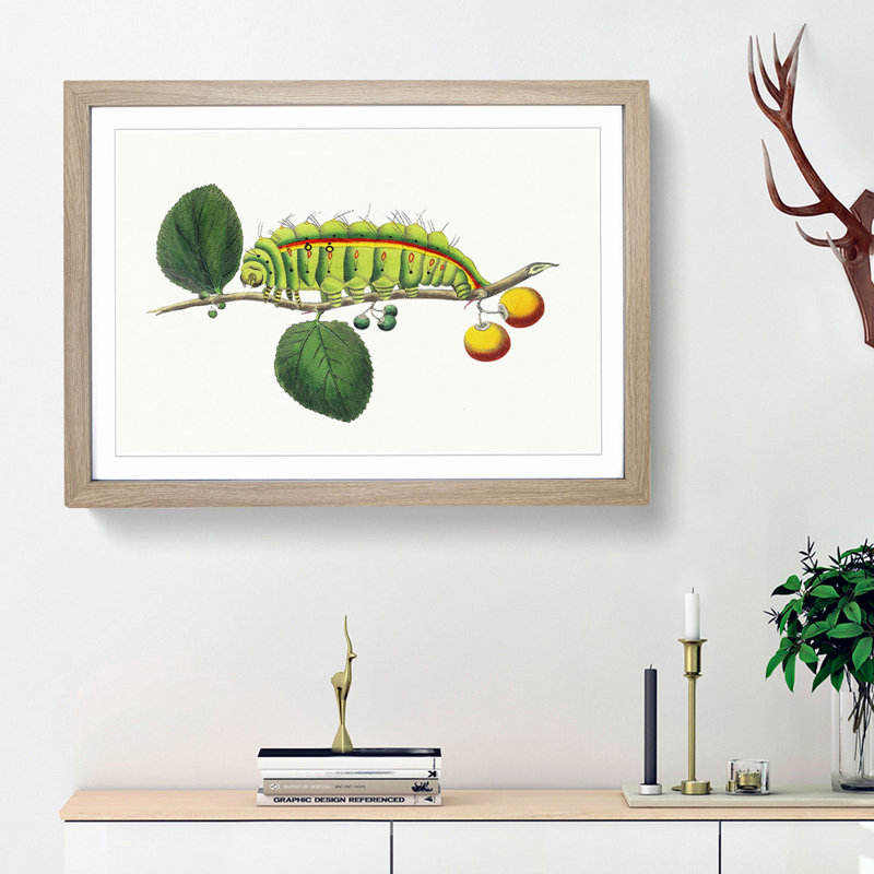 Caterpillar by George Shaw - Framed Print, Oak Framed, 36cm H x 48cm W x 2cm D