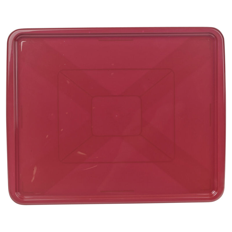 Renida Plastic Dish Rack, Maroon