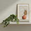 Ivy Plant
