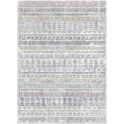 Performance Southwestern Indoor Rug