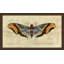 Grand Moth II Painting