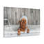«Cute Little Griffon Bathee», art mural sur toile-1495066681