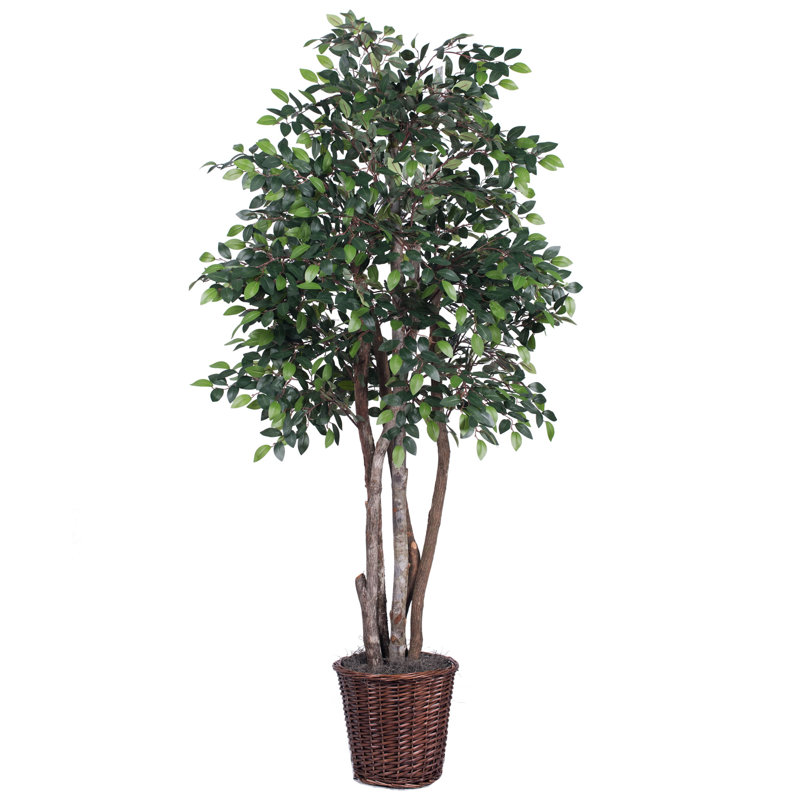 Mini-ficus artificiel extra complet, H 72 po x l 32 po x P 32 po, Brun