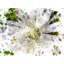 Floral 0014 Print by Chamira Young-71201393-71201396