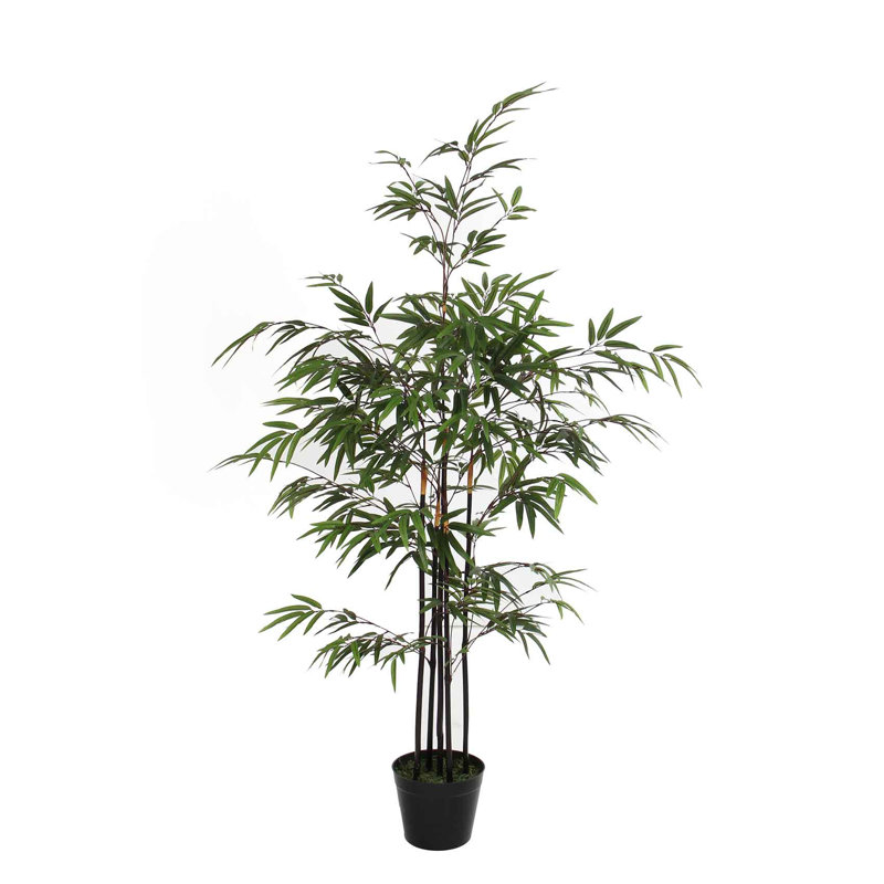 120cm Bamboo Tree in Pot