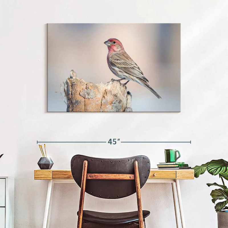 Crowle House Finch Bird, 26" H x 39" W