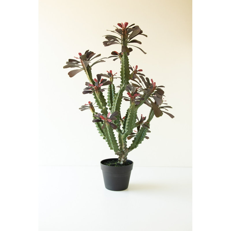 Cactus colonne artificiel Kalalou