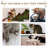 Dilley 44'' H Cat Tree