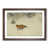 Walnut Framed