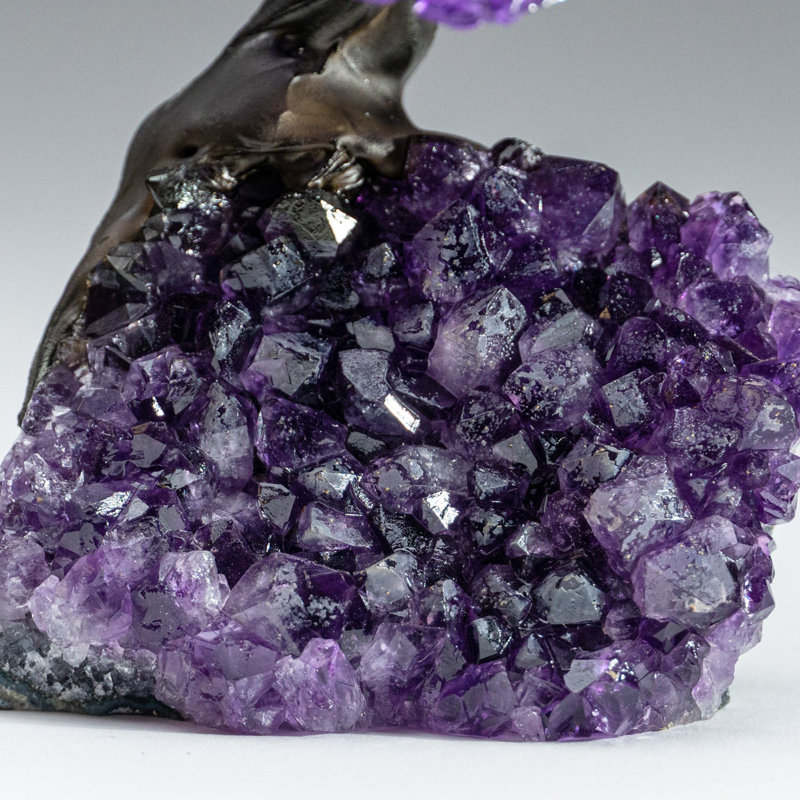 Medium Amethyst Clustered Gemstone Tree on Amethyst Matrix (The Protection Tree)