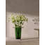 Victoria Glass Candle Holder-128839601-128839615