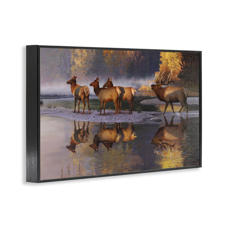 Art de giclée «Elk Family» par Rod Lawrence, Giclée encadrée noir minuit, H 16 po x l 24 po