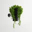 Aurielle Armed Sconce
